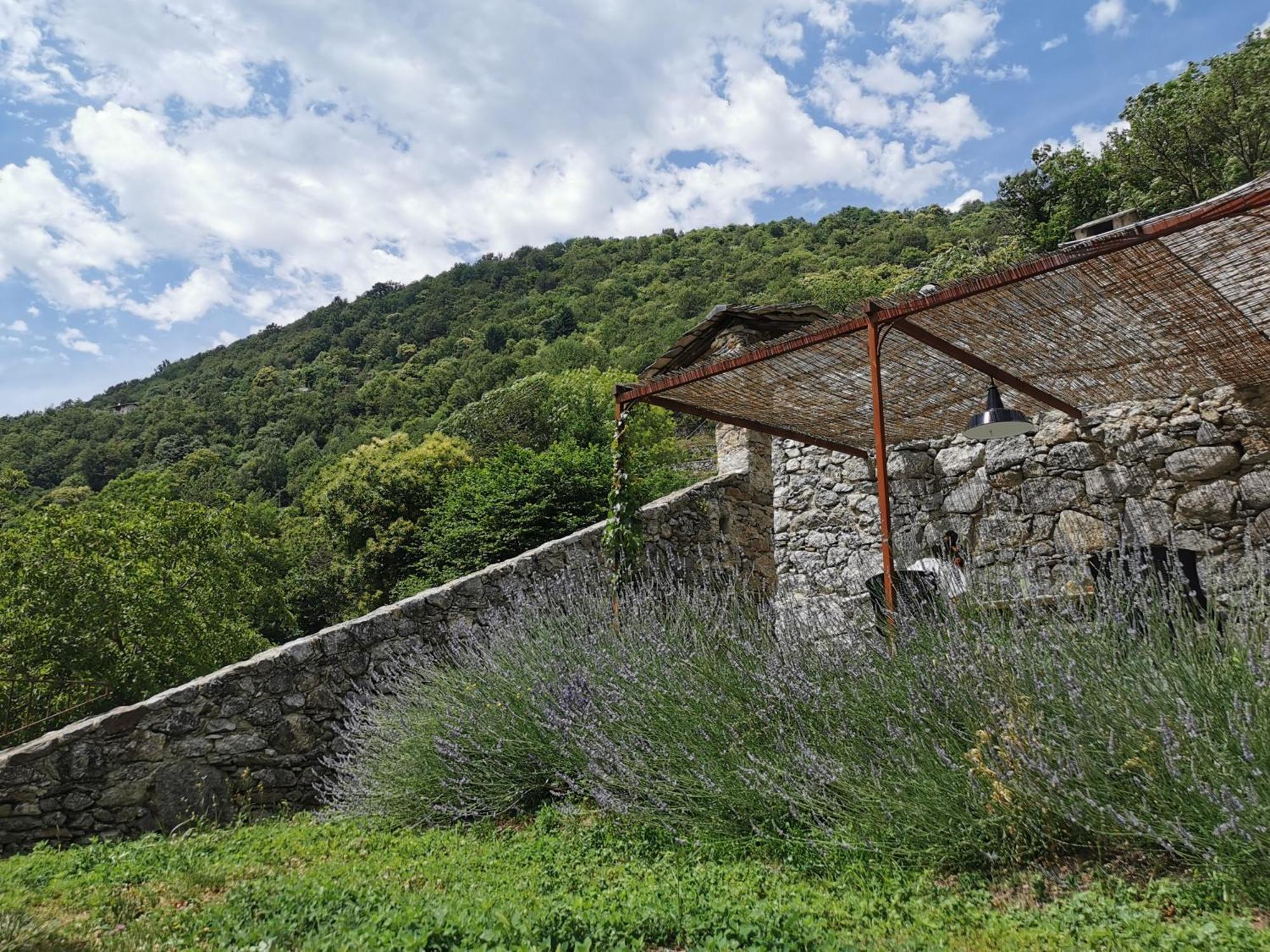 Borgo Selvapiana Villa Morbegno Exterior photo